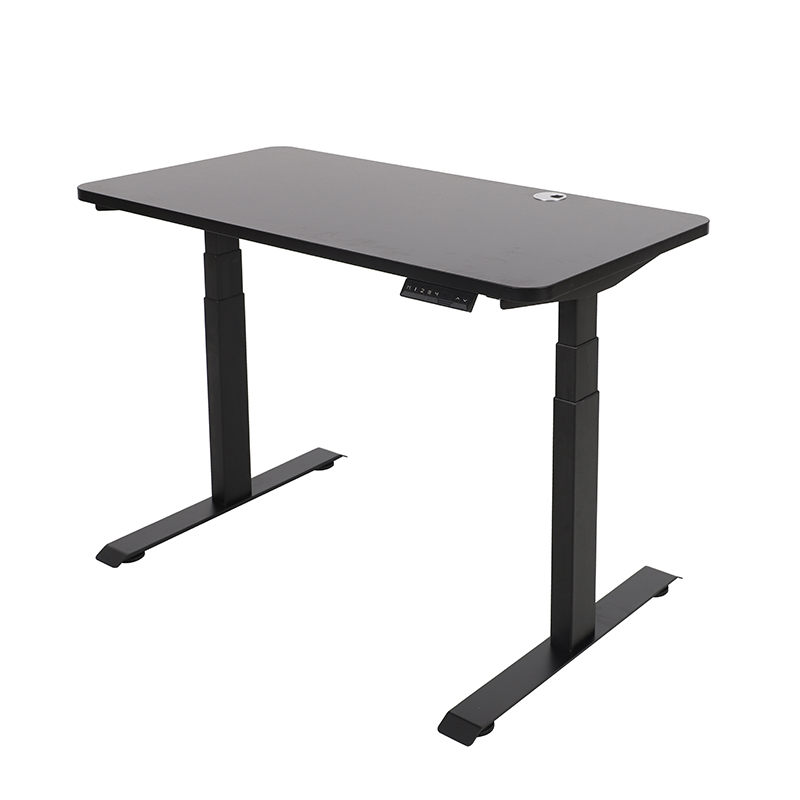 Ergonomic Dual Motor Electric Ergonomic Height Sit Stand Up Office Design Simple Adjustable Rising Desk For Home Office