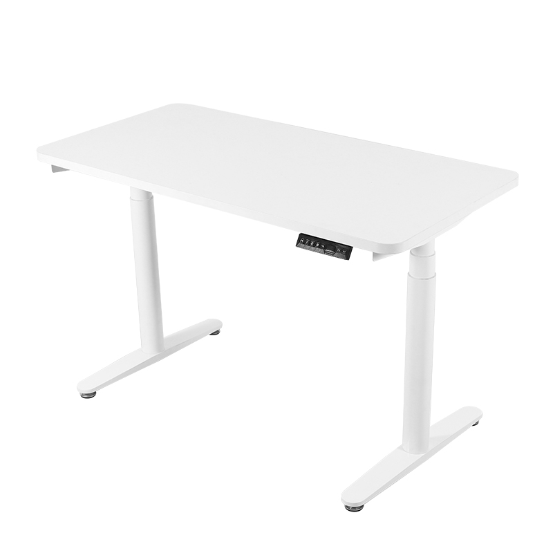 NT33-2DF3 Standing Desk Electric Adjustable Office Desk