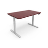 NT33-2A3 table electric sit stand desk
